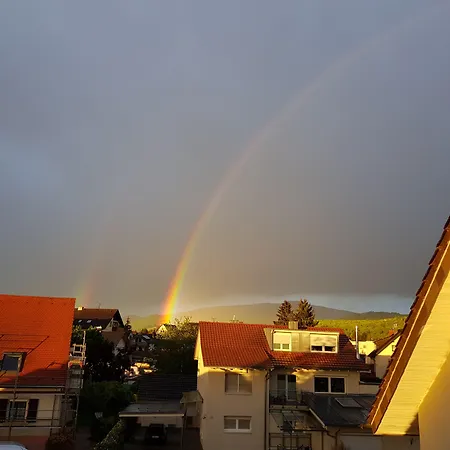 H41 Garni Freiburg (adults Only) Hotel