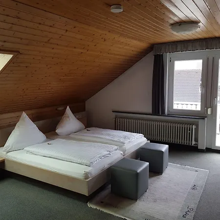 H41 Garni Freiburg (adults Only) 3* Gundelfingen im Breisgau