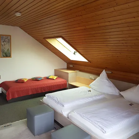 H41 Garni Freiburg (adults Only) 3*