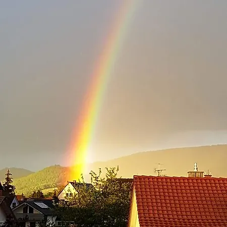 H41 Garni Freiburg (adults Only)