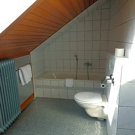 H41 Garni Freiburg (adults Only) 3*