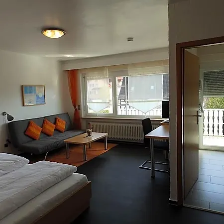 H41 Garni Freiburg (adults Only) Gundelfingen (Breisgau)