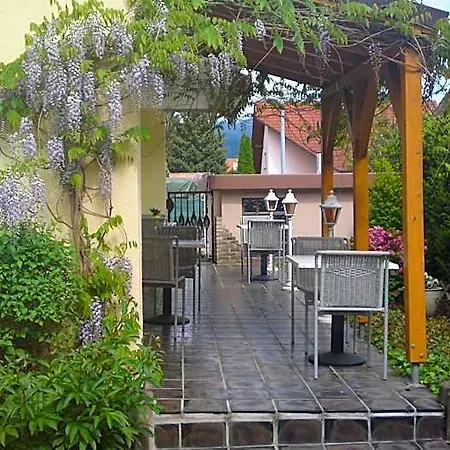 H41 Garni Freiburg (adults Only) Otel 3*