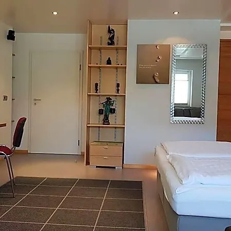 H41 Garni Freiburg (adults Only) Gundelfingen (Breisgau)