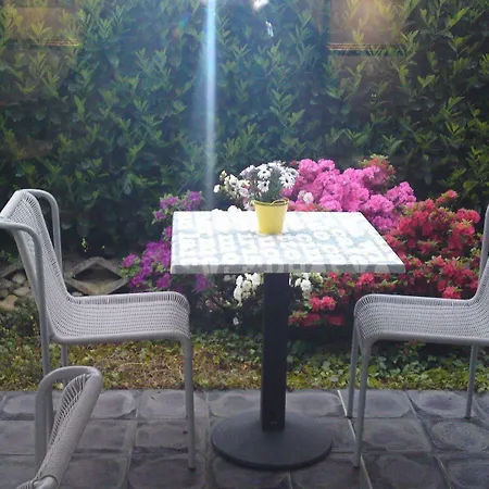 H41 Garni Freiburg (adults Only) 3* 군델핀겐