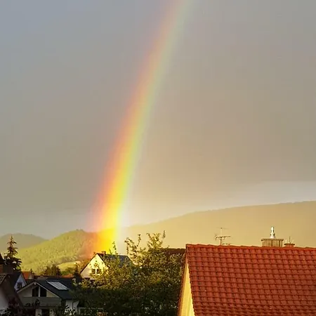 H41 Garni Freiburg (adults Only) Otel 3*